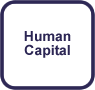 Human Resources, Human Capital, Organisational Strategy, Team Building, Recruitment and Selection